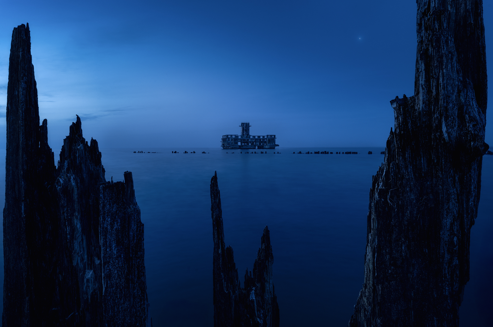 Blue Torpedownia copy.jpg