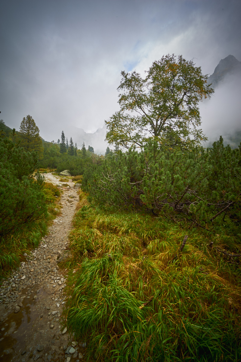 Vysoké Tatry - Velká studená dolina