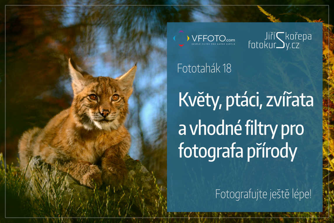 Fototahák 18 Květy, ptáci, zvířata – a vhodné filtry pro fotografa přírody
