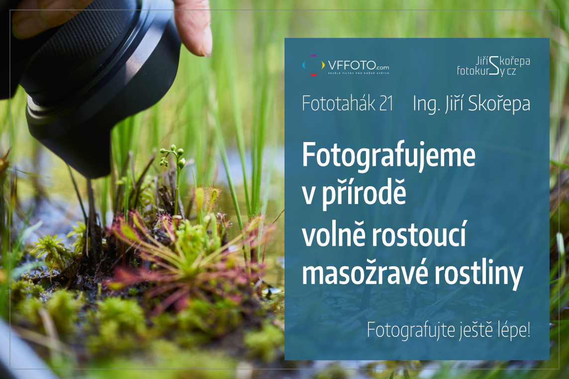 Fototahák 21 Fotografujeme v přírodě volně rostoucí masožravé rostliny
