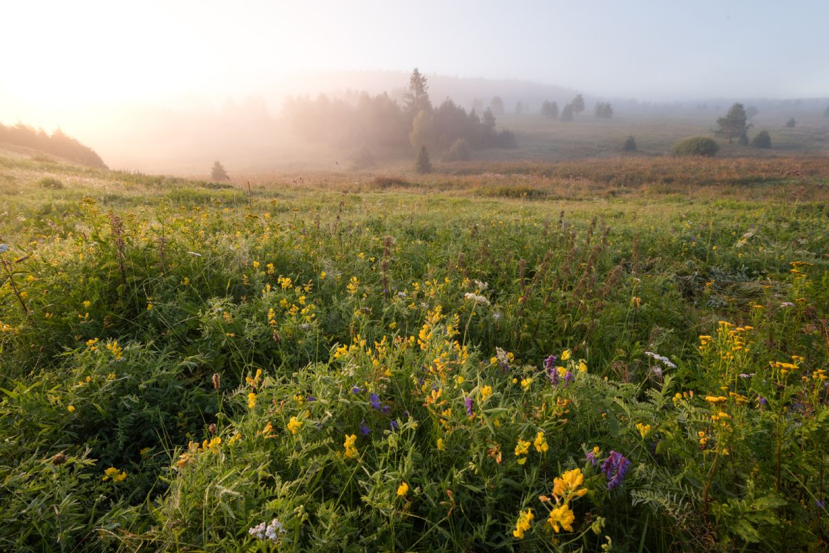 magnetickým přechodovým filtrem ND 0,9 1/3